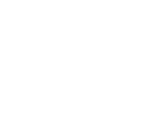Northlink Logo